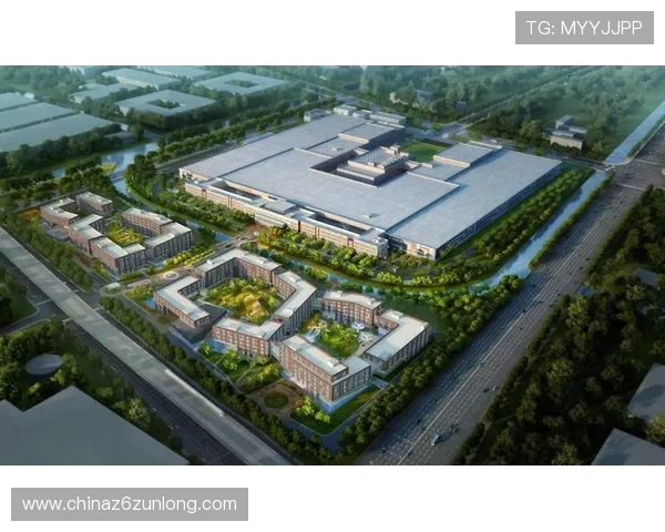 凯时人生就是搏集团:集团如何通过多元化产品布局满足不同用户群体需求