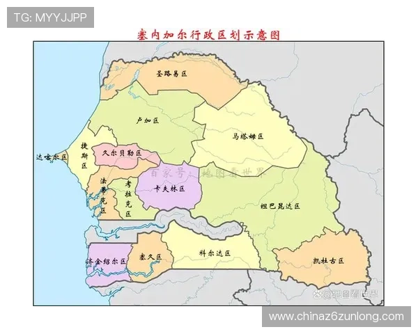 世界杯法国对阵塞内加尔比赛球票价格最新信息及购买指南